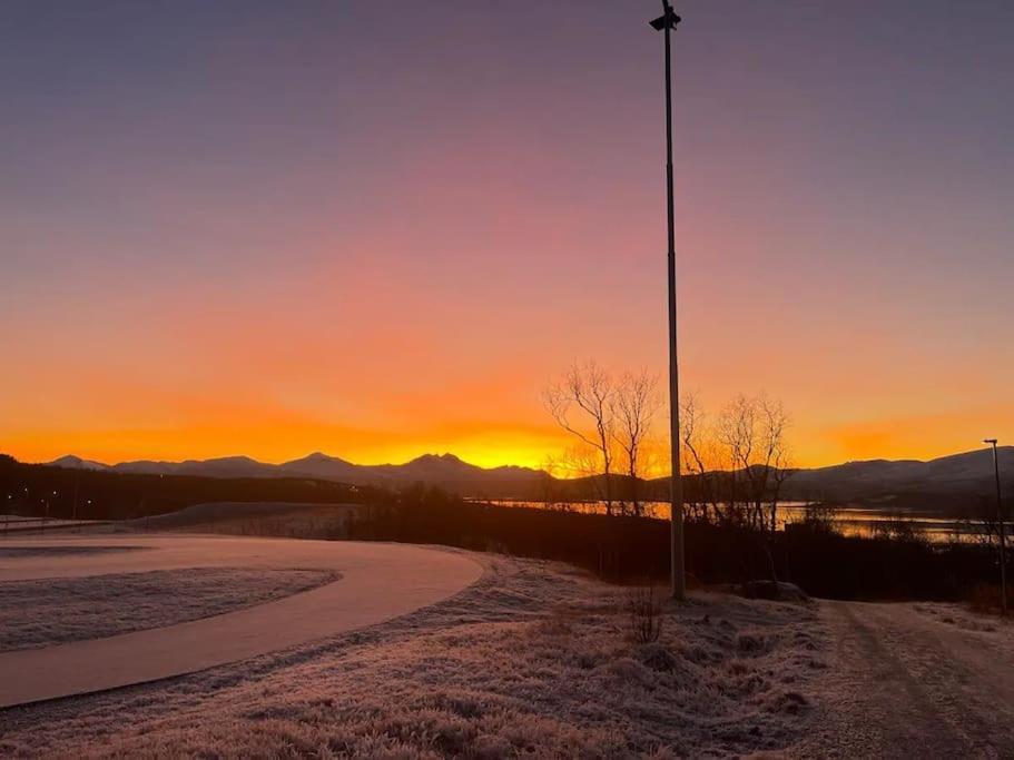 Leilighet I Rolig Gate Med Utsikt Og Gratis Parkering Daire Tromsø Dış mekan fotoğraf